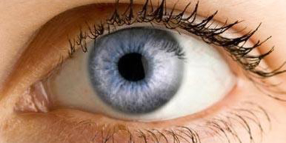 Auge2 grande